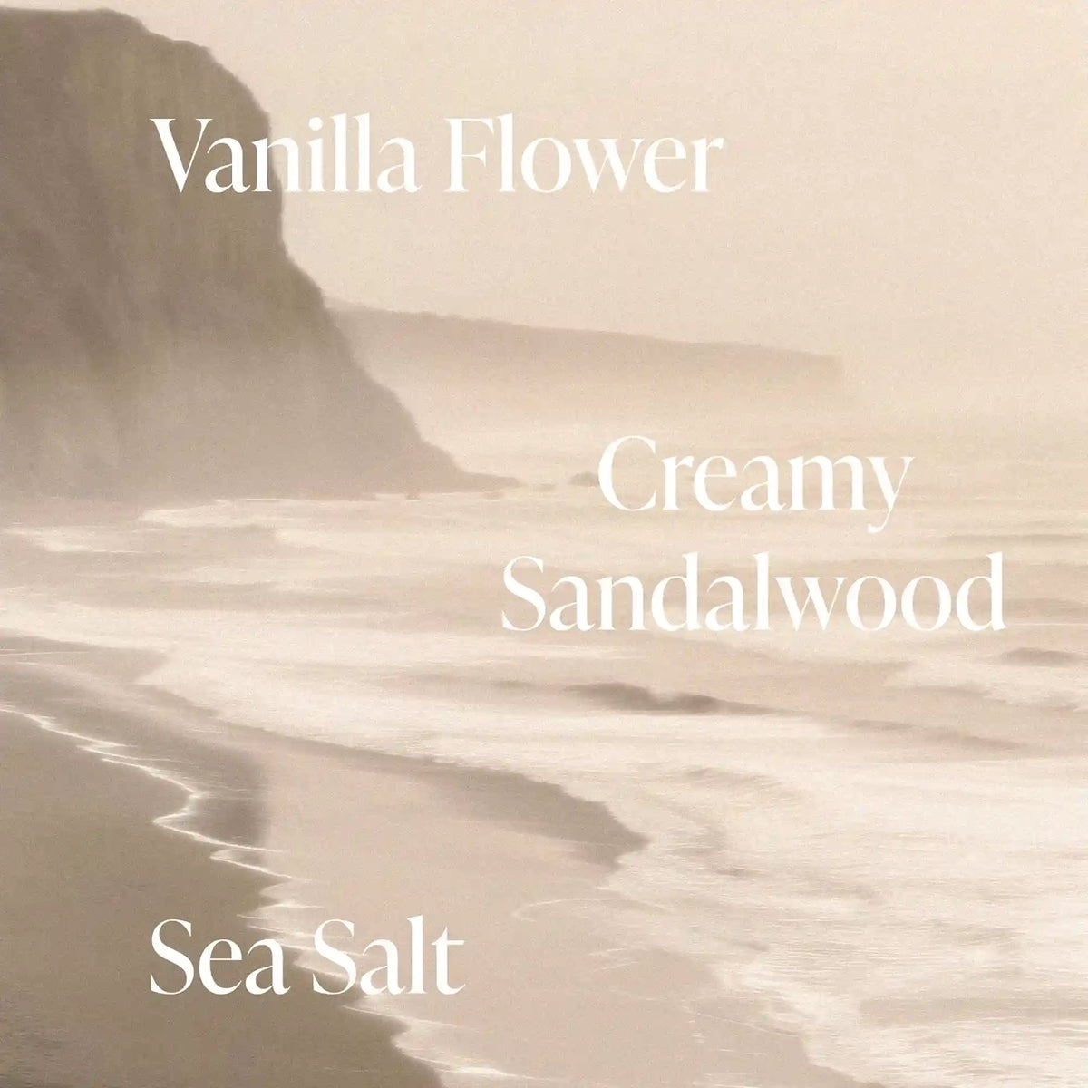 Salt Water Vanilla - Radiance Duo